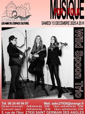 Concert : le Wild Spoon Trio à l'Usine à Zabu