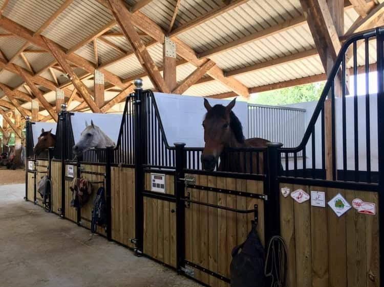 Maison - 226 m² - 8 pièces