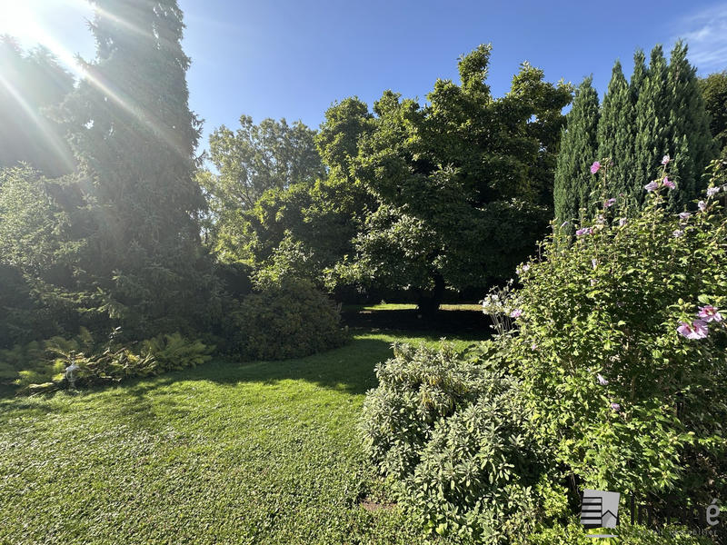 Appartement - 146 m² - 5 pièces