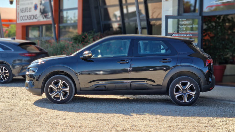 Citroën C4 Cactus BlueHDi 100 SetS Bvm6 Feel Business