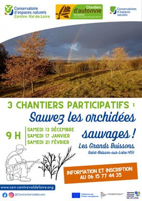 Sauvez les orchidées sauvages !