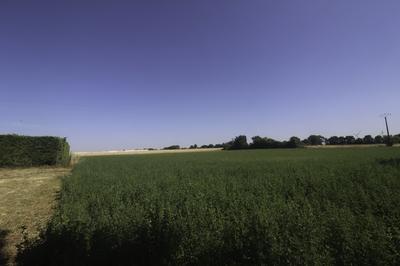 Terrain constructible - 4 397 m²