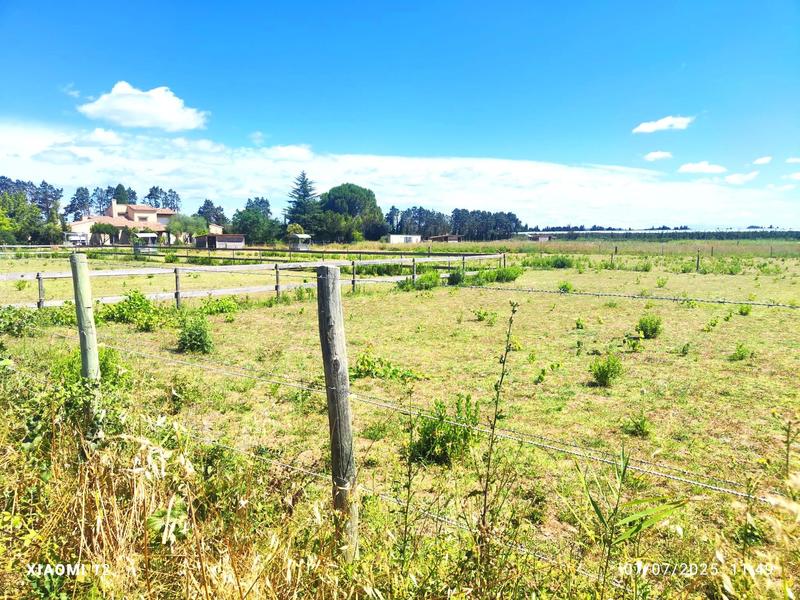 Propriété - 286 m² - 9 pièces