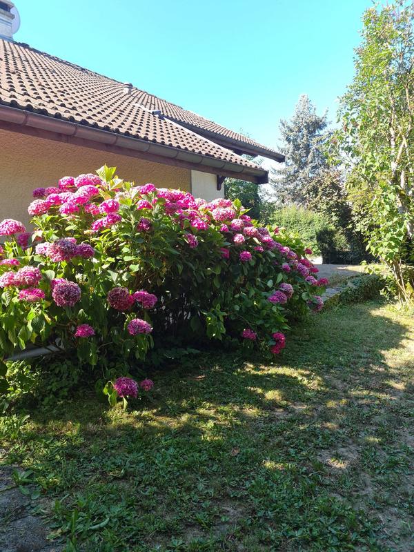 Maison - 124 m² - 6 pièces