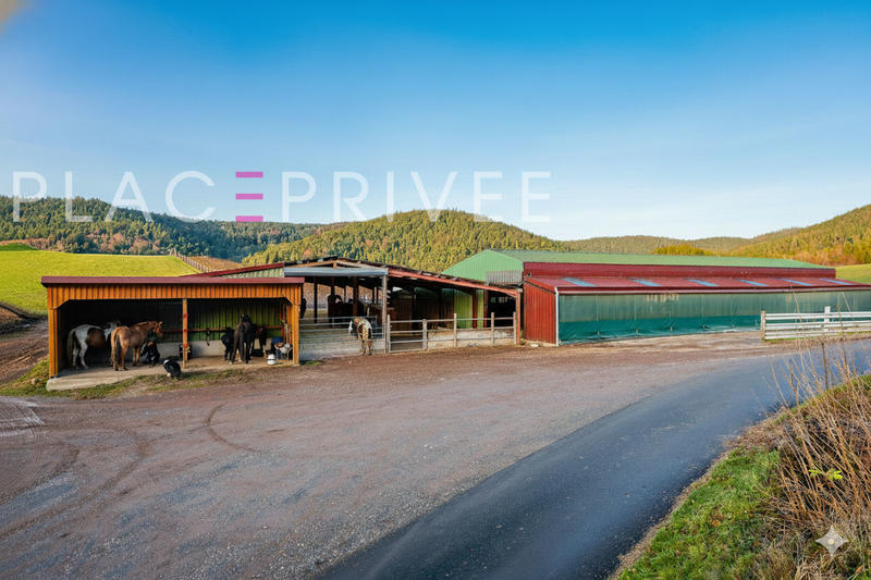 Maison de domaine équestre - 320 m² - 11 pièces