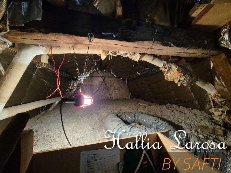 Maison de ville - 47 m² - 3 pièces