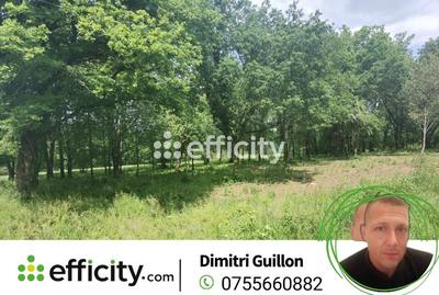 Terrain - 25 000 m²