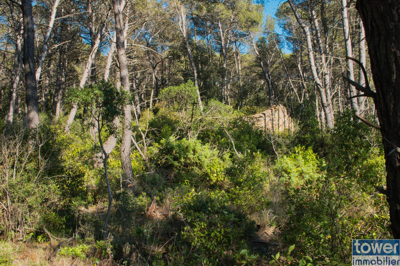 Terrain de loisirs - 42 302 m²