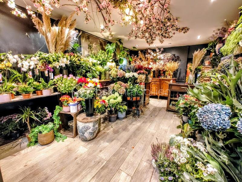 Local commercial - 40 m² - 3 pièces