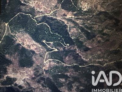 Terrain - 10 077 m²