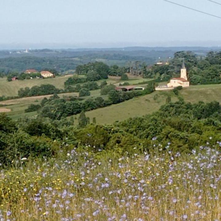 Châlet - 20 m² - 1 pièce