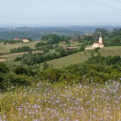 Châlet - 20 m² - 1 pièce