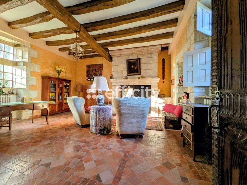 Château - 321 m² - 9 pièces