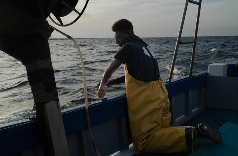 &quot;Prendre racine&quot; - Exposition photographique