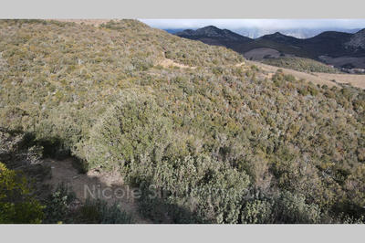 Terrain - 11 396 m²