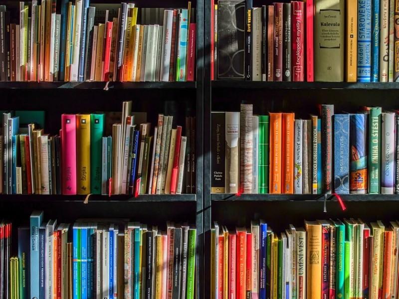 Les Nuits de la lecture