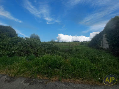 Terrain - 11 865 m²