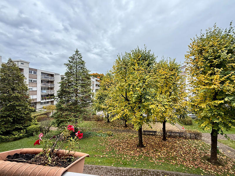 Appartement - 100 m² - 5 pièces