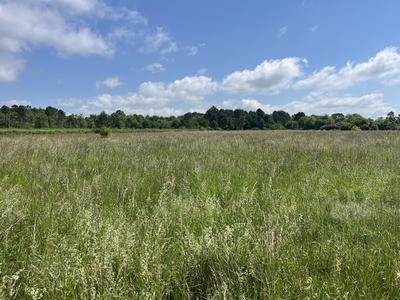 Terrain - 10 000 m²