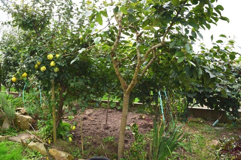 Maison - 86 m² - 5 pièces