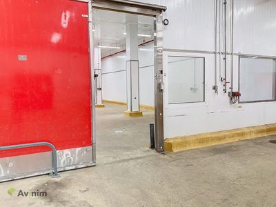 Entrepôt - 1 048 m²