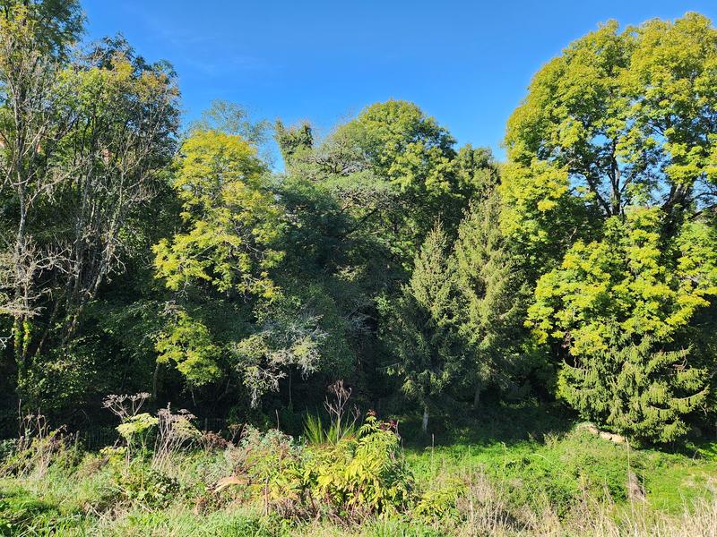 Maison - 163 m² - 9 pièces