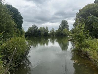 Terrain - 57 753 m²