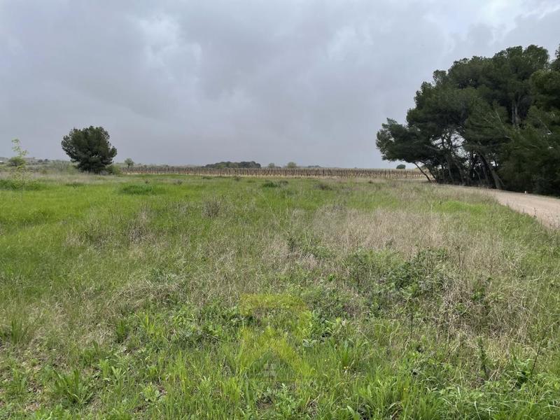 Terrain agricole - 4 800 m²