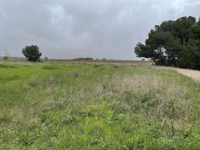 Terrain agricole - 4 800 m²
