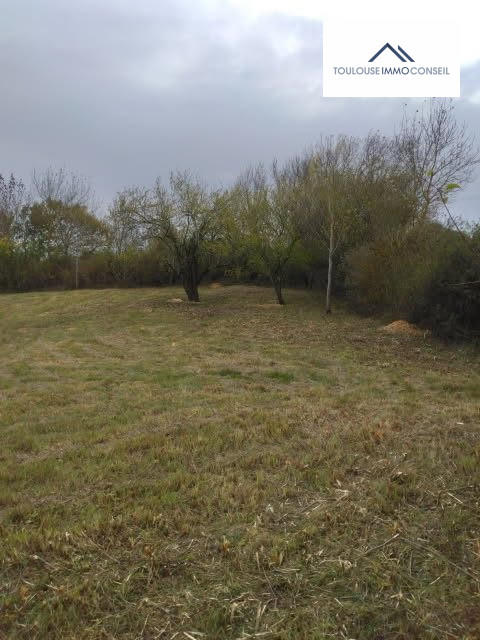 Terrain - 2 500 m²