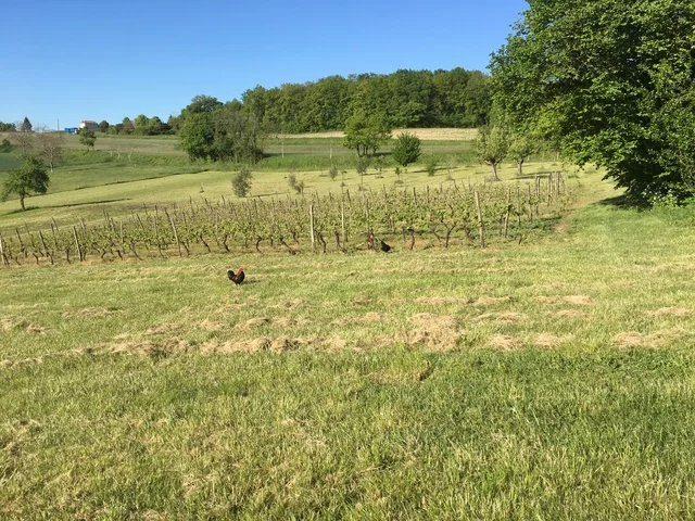 Maison - 142 m² - 6 pièces