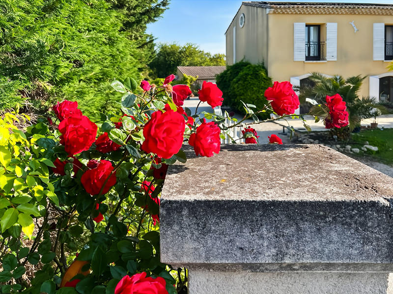 Maison - 385 m² - 12 pièces