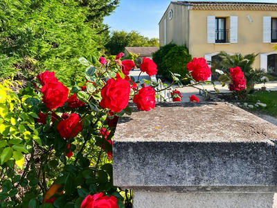 Maison - 385 m² - 12 pièces