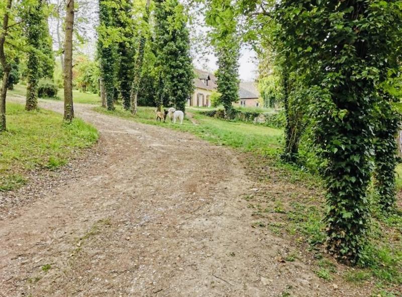 Maison bourgeoise - 412 m² - 9 pièces