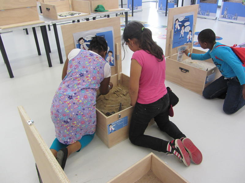 Visites Commentées des Exposition Pour Enfant : les Mercredis de la Géologie
