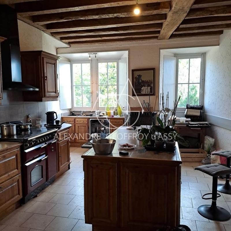 Château - 4 200 m² - 72 pièces