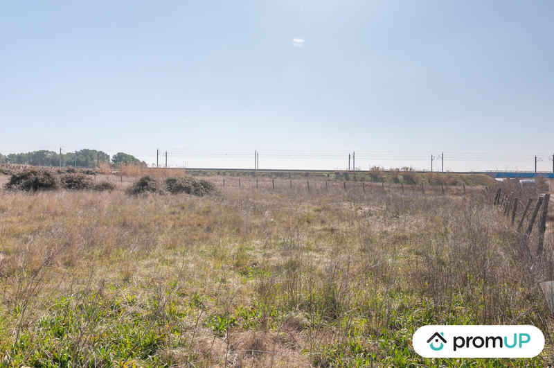 Terrain agricole - 5 000 m²