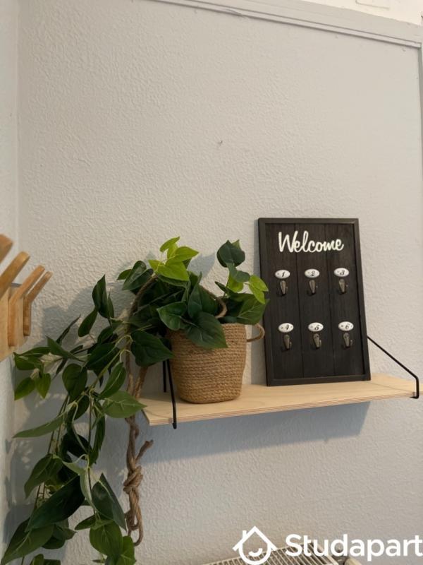 Chambre - 19 m² - 1 pièce