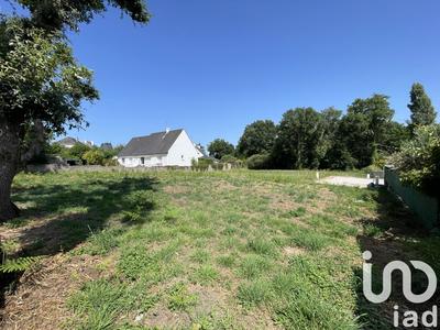 Terrain - 497 m²