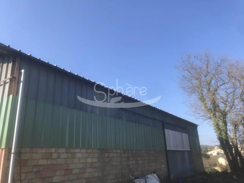 Hangar - 525 m² - 1 pièce