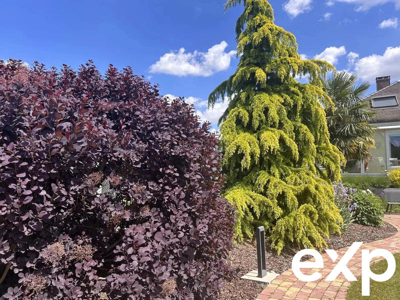 Maison - 204 m² - 7 pièces