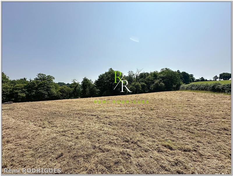 Maison - 196 m² - 7 pièces