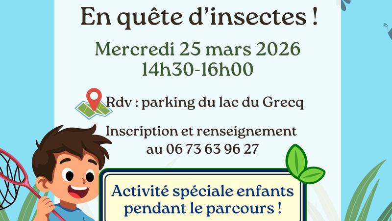 Sortie nature : en quête d'insectes