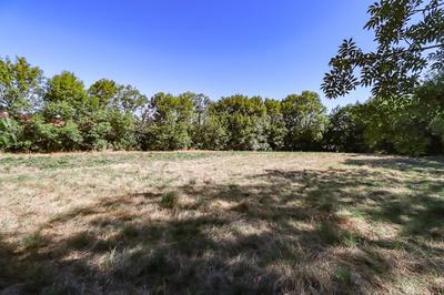 Terrain constructible