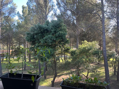 Appartement - 38 m² - 2 pièces