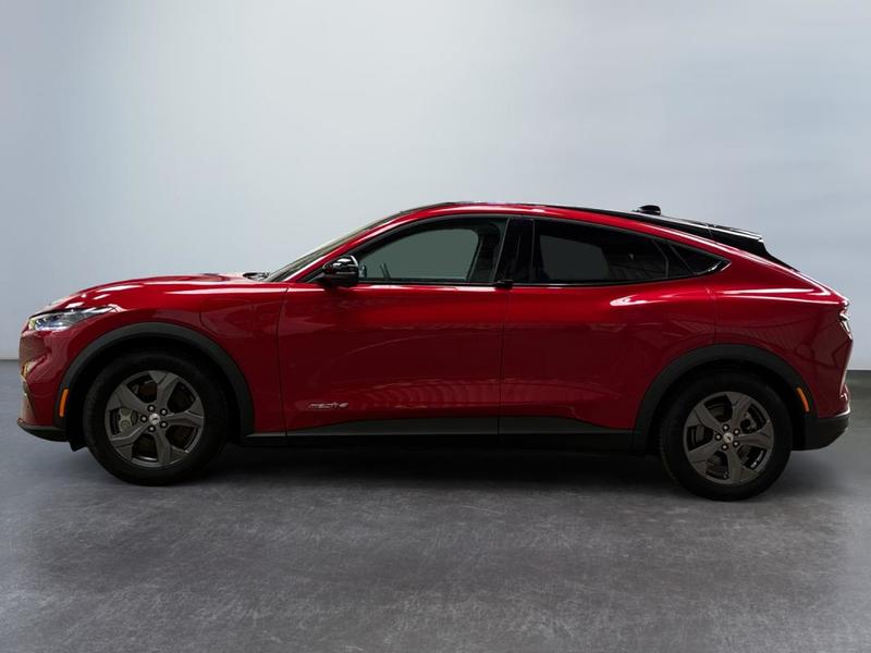 Ford Mustang Mach-E Standard Range 76 kWh 269 ch