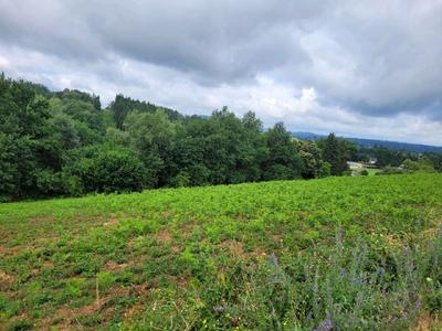 Terrain constructible - 4 856 m²