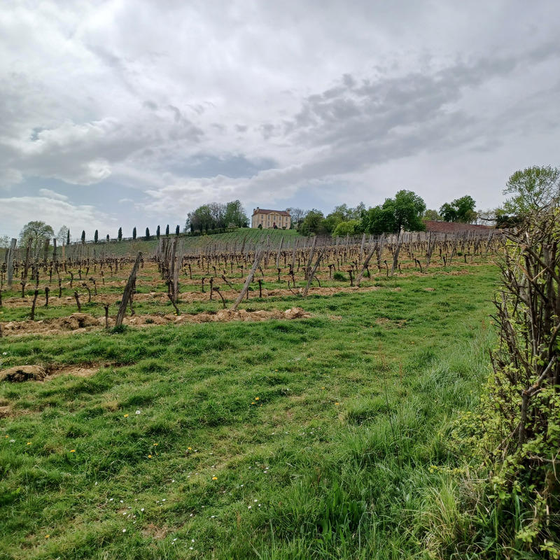 Fonds de commerce - 402 m²