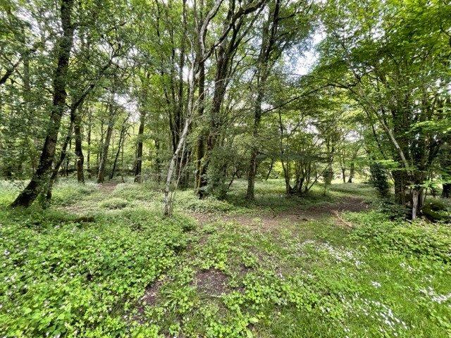 Maison - 163 m² - 7 pièces