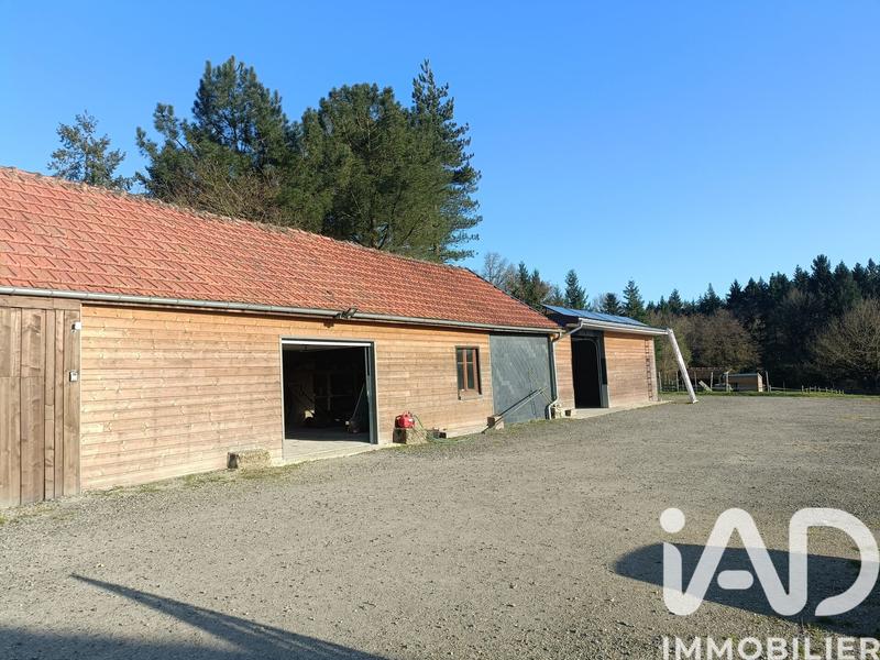 Maison - 146 m² - 5 pièces